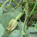 인영농장 이미지