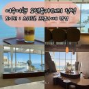 빛모이 | 여수 오션뷰카페 탑티어 돌산 모이핀 오션점 솔직후기