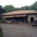 성읍리-19 이미지