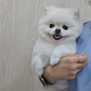 오구오구살롱 이미지