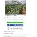 (주)투게임 이미지