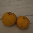 청해어린이집 | 제왕절개 후 4박5일 입원 기록 (보호자 없이 나혼자 2박 있던 날)