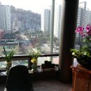 스카이스크린골프스쿨 이미지