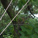 윤성농장 이미지