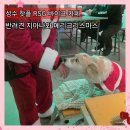 이브멀티카페 | 성수 RSG 바이크 카페 산타할아버지와 함께 크리스마스 애견동반 후기