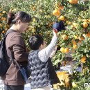 남원읍-71 이미지