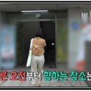 전참시 박하선 스터디카페 이름 전지적참견시점 박하선 빵집 위치 베이커리 김영모과자점 신반포점