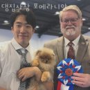 댕집사장 포메라니안 이미지