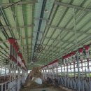 대화한우농장 이미지