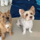 하울팟 한남점 이미지