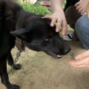 이성희농장 이미지