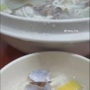 강고집참바지락칼국수