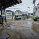 보리카매니아 이미지