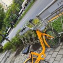 정부청사역_32270) 이미지