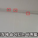 종로-종로-종로-종-062 | 외국인숙소 바퀴벌레 퇴치 후기- 독일바퀴벌레 퇴치방법