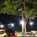 비헤브(BE HAVE) 이미지