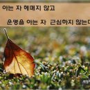 명리로2번길 이미지
