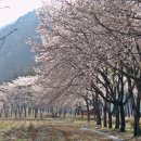 침벽공원 이미지