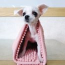 달개 이미지