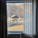 감자창고 | [정선] 파크로쉬 그랜드 패밀리 스위트 내돈내산 2일차 후기(조식, 모닝스트레치, 감자창고)