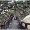 개화산공원 Daum카페