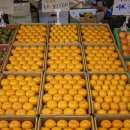 왕왕작작 이미지