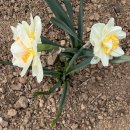 장순농장 이미지