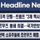 퍼플로보 이미지