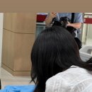 봄날의 강아지 Daum카페