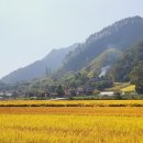 치악산둘레길 5코스 서마니강변길 이미지