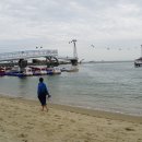 송도해안산책로 이미지