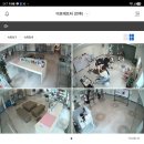바른전략컨설팅 | 미용학원 가위컷 전문, 6살 코코 · 2살 누리 · 2살 율무 삼총사 왕자님들의 스포팅 & 가위컷 미용 후기!