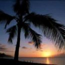 라호야(LA JOLLA) 이미지