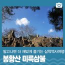 남양동 중앙교회 | 알고나면 더 재밌게 즐길 수 있는 삼척역사여행~! 삼척 가볼만한곳 봉황산 미륵삼불