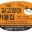 서초구, 겨울철 길고양이 위한 '겨울집' 200개로 확대 이미지