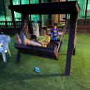 라고스테마 이미지