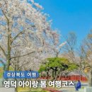 ㈜파랑에너지 공중화장실 | 영덕아이랑가볼만한곳 벚꽃 명소 3월 봄 경북 여행 코스 추천 BEST 3
