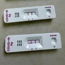 코로나 | 초기 임산부 코로나 감염 후기｜증상·처방·회복기간 정리