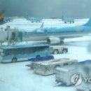 제주공항 이미지