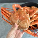 맛있는대게홍게