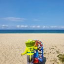 연곡해변 솔향기캠핑장 이미지