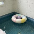 가평남이섬 블리스 풀빌라 펜션 | 가평/남이섬 풀빌라 추천 :: 가평 블리스 펜션