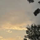 브랜든시티의원 이미지