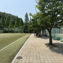 국민체육센터 풋살장 이미지