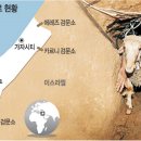 가자 이미지