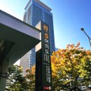 해경아는약국