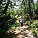 하화도 꽃섬길 이미지