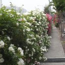 시곡공원 이미지