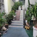 진보삼계탕 이미지