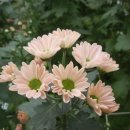 듬뿍농장 이미지